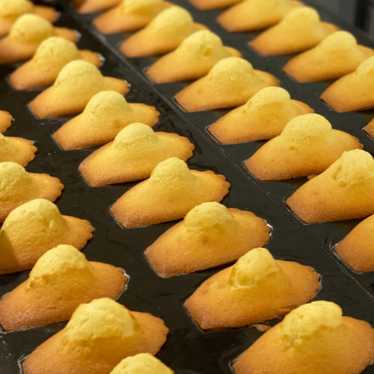 Madeleine